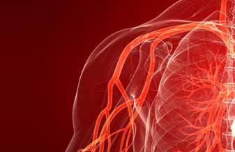 Dr. Sandro Del Franco Martins - Foto 1