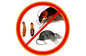 Ocs Dedetizadora - Foto 1