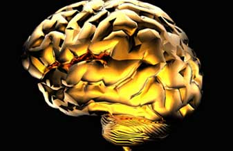 Renato Pacheco de Melo - Foto 1