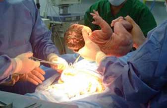 Sergio Sa Fortes - Foto 1