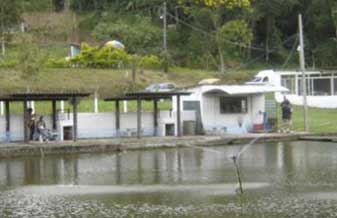 Pesque-Pague Carvalho - Foto 1