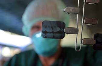 Adalgisa M P Nascimento - Foto 1