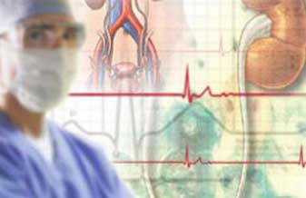 Elias Alexander - Foto 1