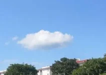 Conselheiro Lafaiete