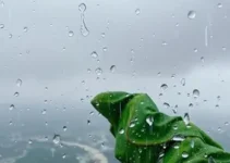 chuva em Conselheiro Lafaiete