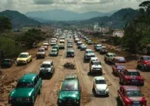 falsos leilões de veículos