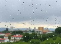 Conselheiro Lafaiete