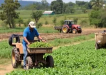 agricultura familiar