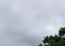 previsão do tempo Conselheiro Lafaiete