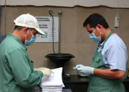 Últimas noticias de Conselheiro Lafaiete