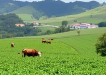 notícias de Minas Gerais