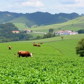 notícias de Minas Gerais